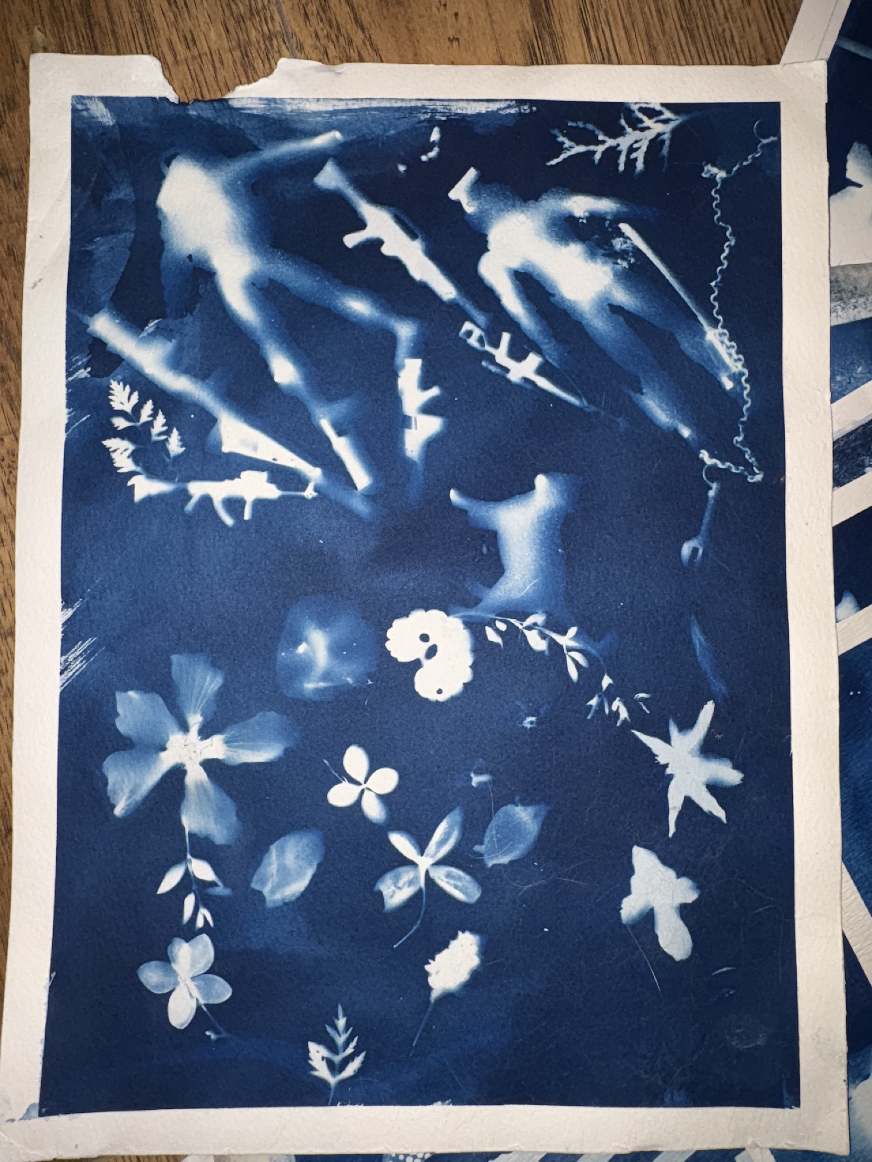 Cyanotype print showcasing white silhouettes of various flowers, leaves, and botanical elements arranged organically against a rich indigo blue background.