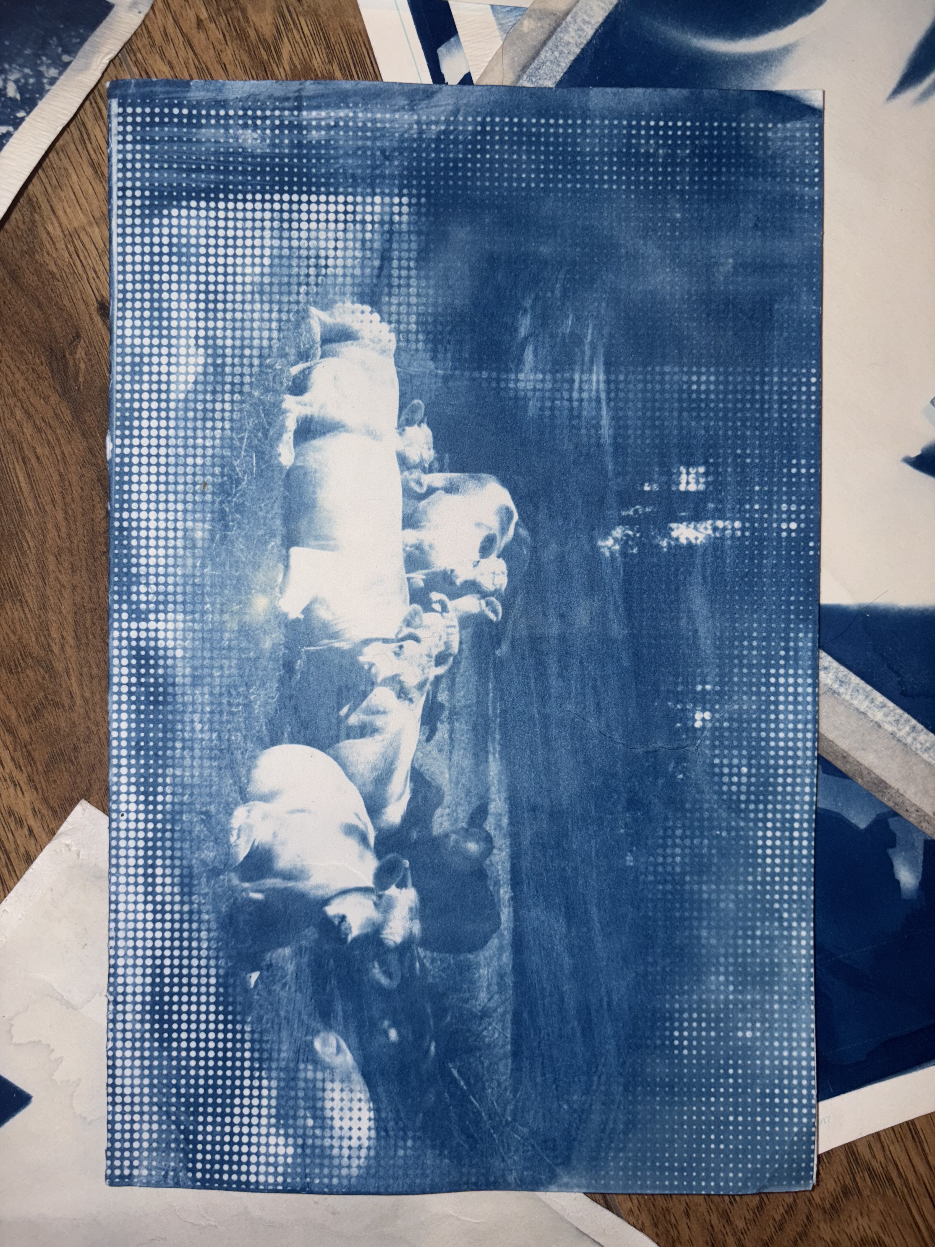 Cyanotype print showing silhouettes of what appear to be animals in a landscape, overlaid with a dotted halftone pattern on the left side creating a visual transition effect.